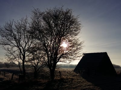 Wintersonne