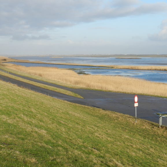 Margarethenkoog