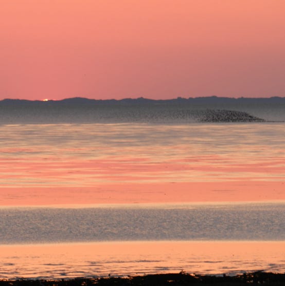 "Schwarze Sonne" vor Sylt